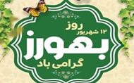 ️پیام تبریک معاون توسعه مدیریت و منابع دانشگاه به مناسبت روز بهورز