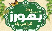 ️پیام تبریک معاون توسعه مدیریت و منابع دانشگاه به مناسبت روز بهورز